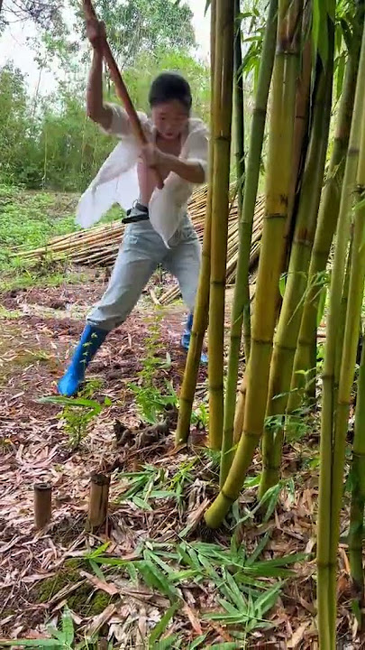 cangkul viral dengan kualitas baja terbaik #cangkulrumput #pertanian #pertanianindonesia #petani