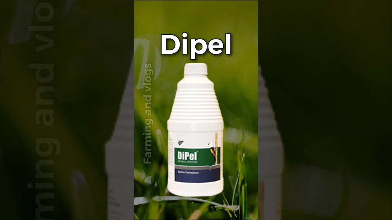 🔥Dipel🔥Sumitomo|Organic Insecticide| 