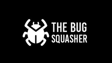 The Bug Squasher - Website Bug Tracking Tool - Demo