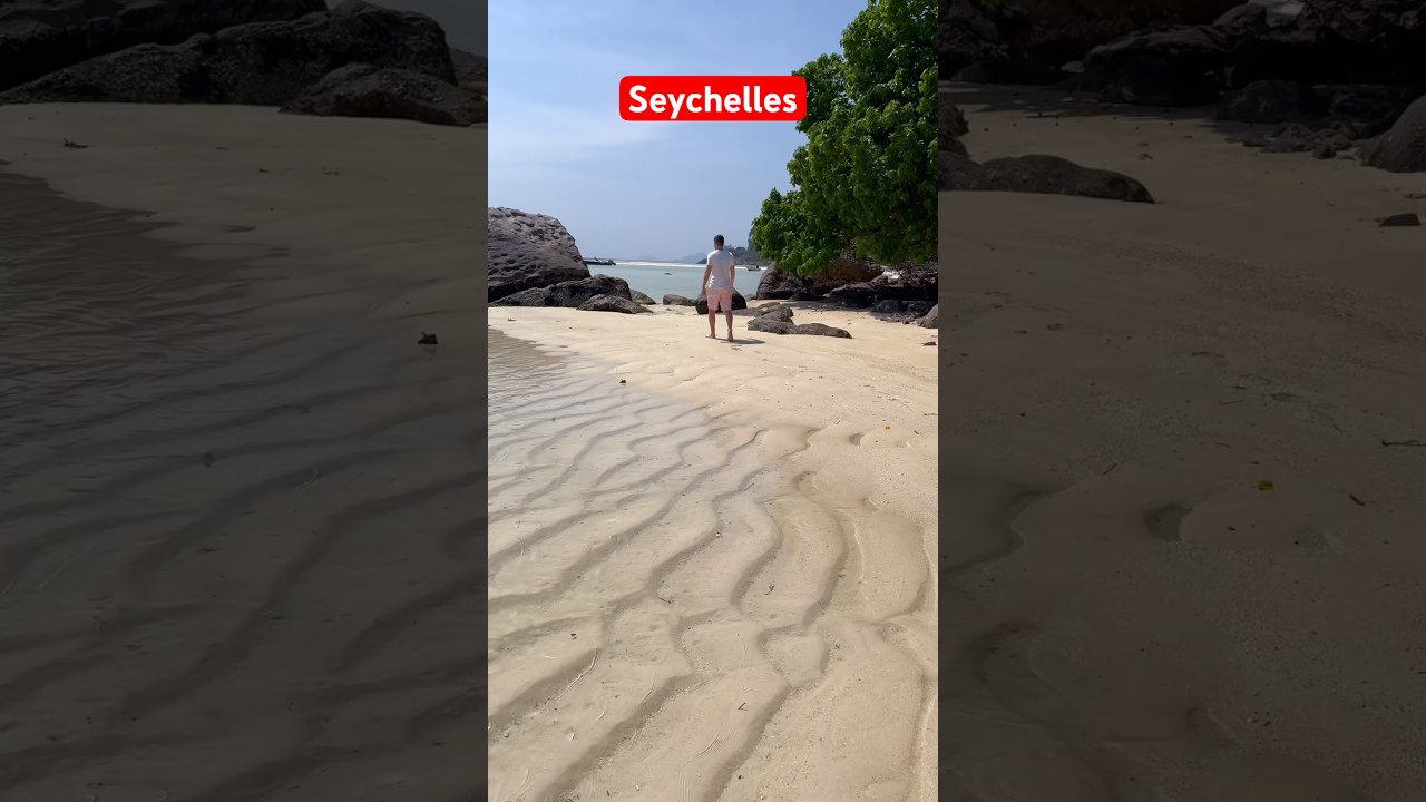 Seychelles - I love this place 🤒 #seychelles #beach #shorts #lovestory #travel ✔️ #180