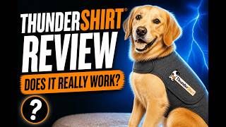 ThunderShirt Review - Does It Really Work