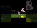 Pov:Golem uchiha goal 100sub