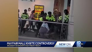 Security officer struggles to get K-9 to stop biting civilian in Wisconsin mall incident