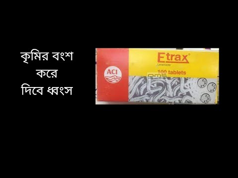 ভিডিও: ঘোড়াটির নাম কি? সেরা বিকল্প