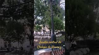 Jardín hermoso de Chilapa de Álvarez Guerrero. México