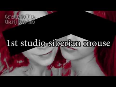 Siberian 1st mouse video. Глубокий интернет девочки. Сиберия Маус.