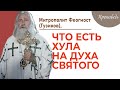 Хула. Чем она опасна? Проповедь. Верую@Елена Козенкова