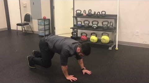 Core strength: Bear Crawl