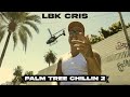 Lbk cris  palm tree chillin 2 official music produced by kid sound