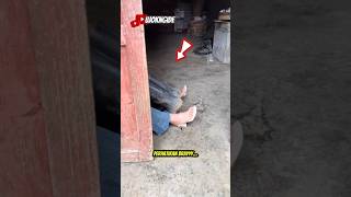 Bapak Tua Kaget Kirain Ada Yang Mesum Di Depan Rumah