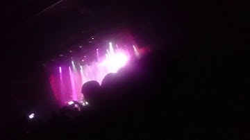 Bryan Ferry ft metropole Orchestra