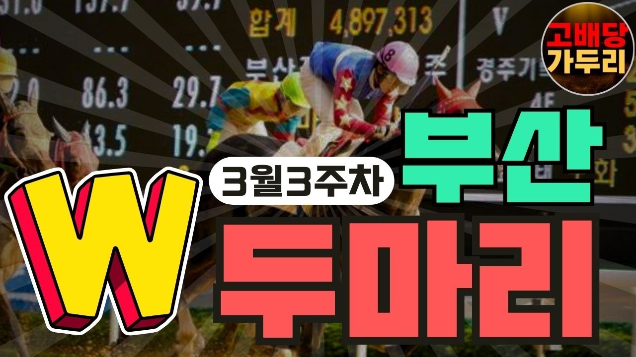 3월 3주차 부산경마 복병마 두마리!!!🎯경마🐎 경마예상🟢 경마 고배당🟢 서울경마🟡부산경마🔵제주 경마🎯고배당 가두리🐎 경마 고배당 적중