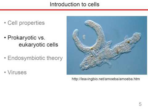 Ch1 Molecules And Cells 11Jan17 