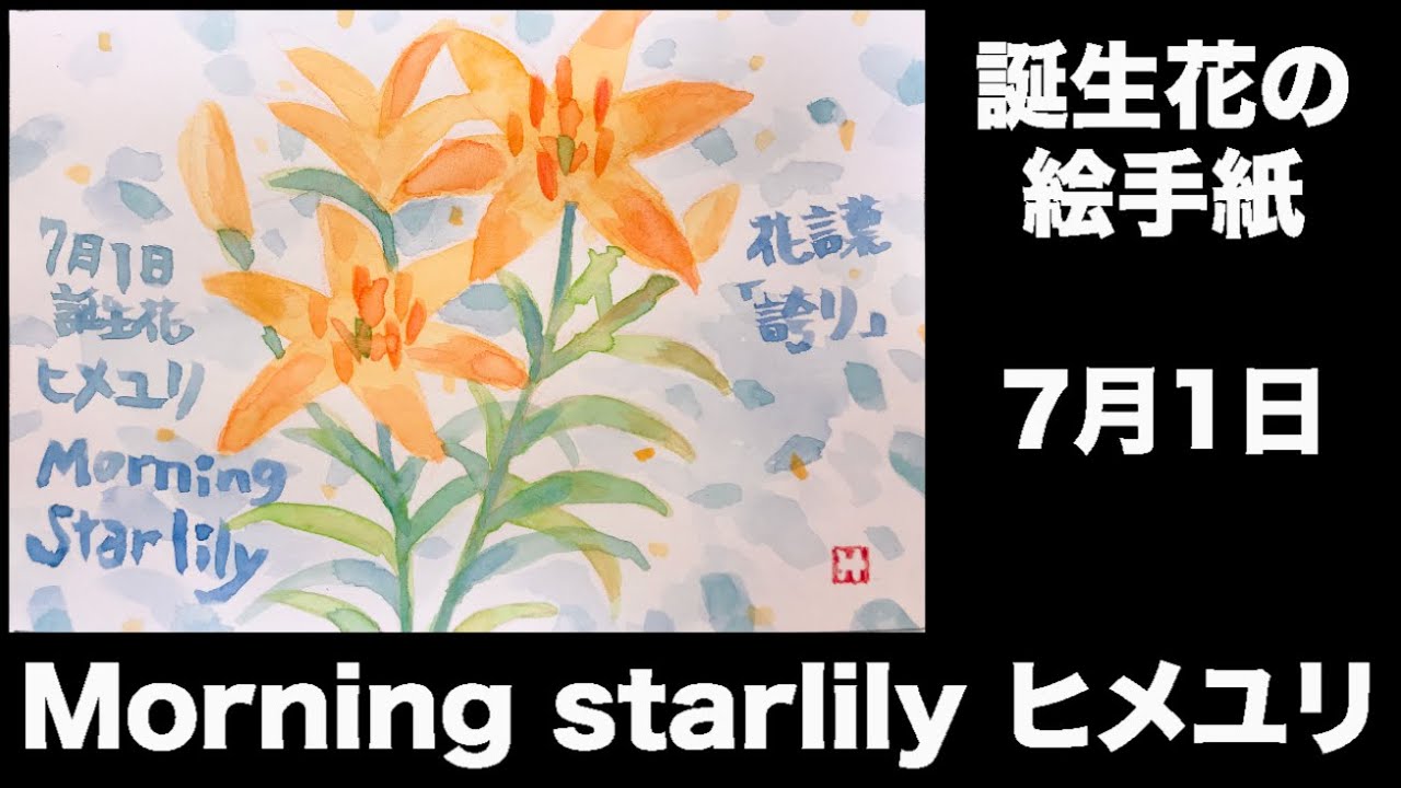 誕生花の絵手紙 7月1日 Morning Starlily ヒメユリ Youtube