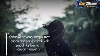 Story wa cowok monyet😅