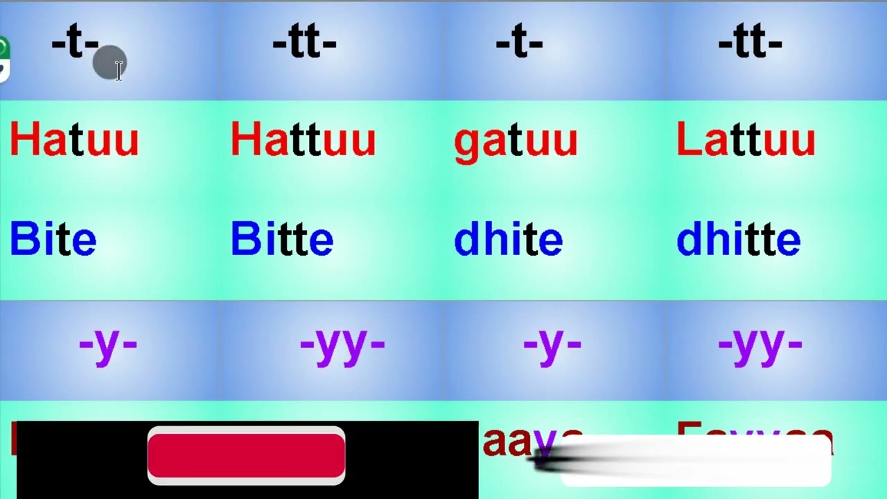 Sagalee laafaa fi dheeraa haala salphaan || Short and long sound of Afan Oromo