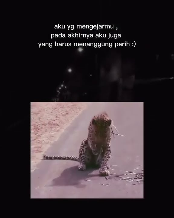 STORY WA SAD VIRAL || STORY WA SADBOY