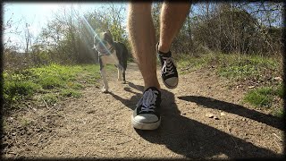 We Walk This TWO Kilometer Trail EVERY Day + Crunchy Shallow Sand Walk ASMR [Nature Vlog]