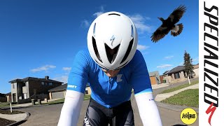 New Helmet Day // Specialized S-Works Evade II w/ MIPS & ANGi 🚲🦅