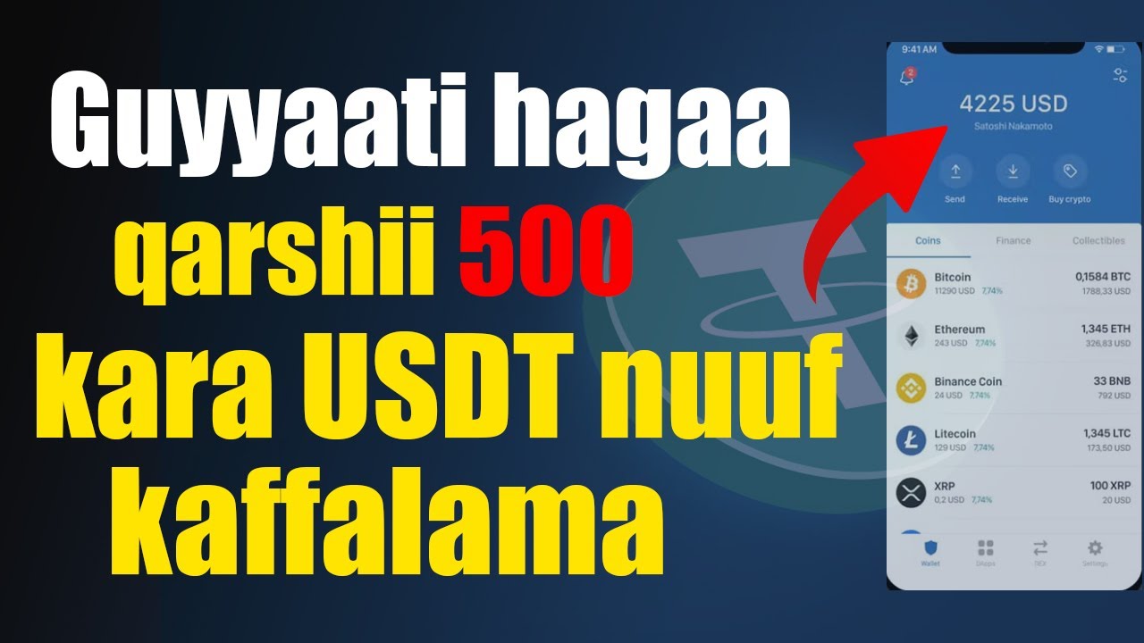 video-second-15-ilalaun-qofaa-qarshii-aragdha-free-usdt-earning