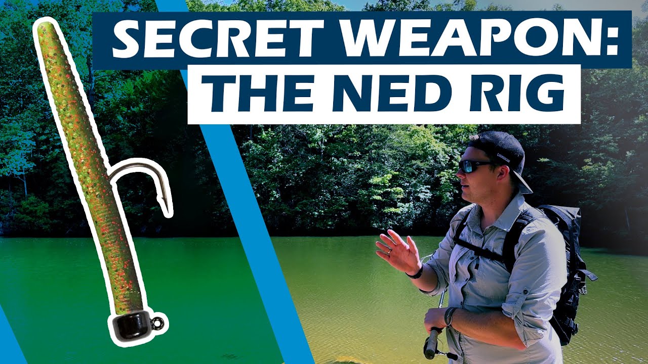 [US FISHING] Unleash the Ned Rig: Your Secret Weapon for Big Bass!