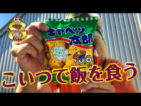 限界2合めし】キャベツ太郎で2合めしに挑む！ - YouTube