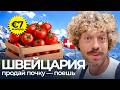 Швейцария шокирует ценами Продукты деньги и аренда за 150 000 в месяц