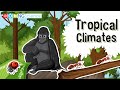 Tropical Rainforests and Climates