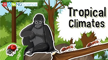 Tropische klimaten
