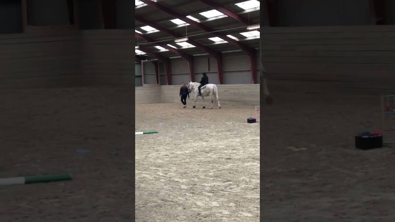 Langesø Egnens rideklub lavet til handicappede børn￼