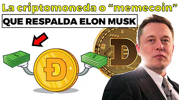 ¿Cree Elon en las criptomonedas?