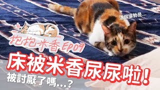 【抱抱米香EP9】崩潰!!!米香在我床上尿尿啦...