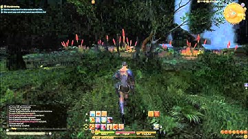 FFXIV - Main Quest - "Microbrewing"