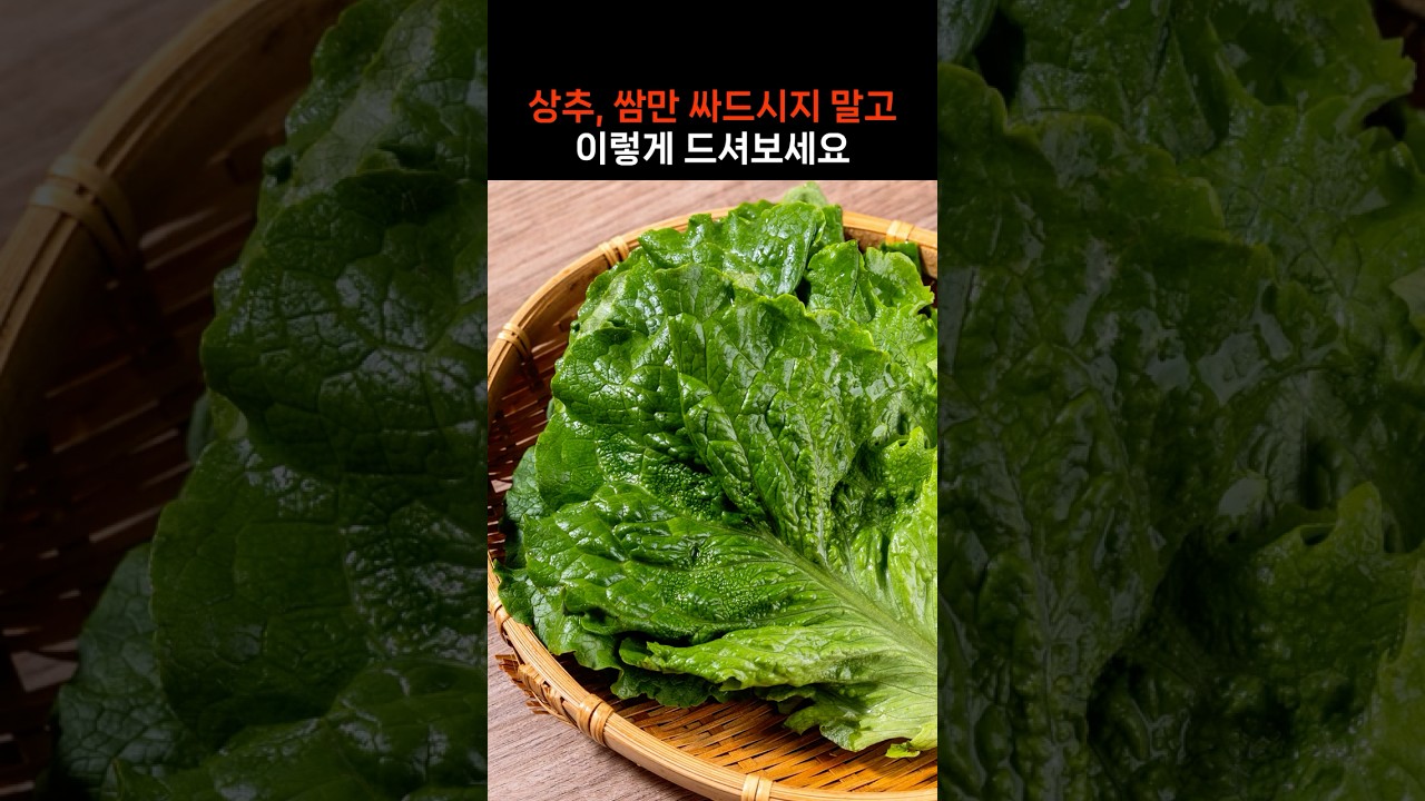 상추 쌈만 싸드시지 말고 이렇게 드셔보세요 — 친절한 닥터H 레시피 썸네일