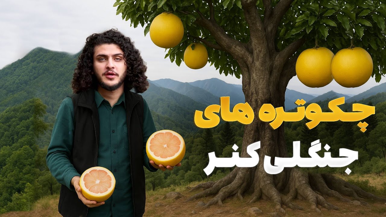 هی میدان طی میدان -  دیدار باسط ایرج از جنگل های بی پایان ولایت کنر