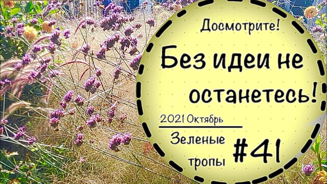 #41☘️Город Эрфурт и его невероятно разнообразный Egapark☘️Моё первое садовое путешествие☘️
