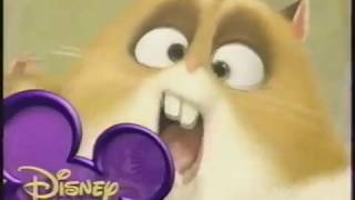 Disney Channel Bumper Bolt 2 2008