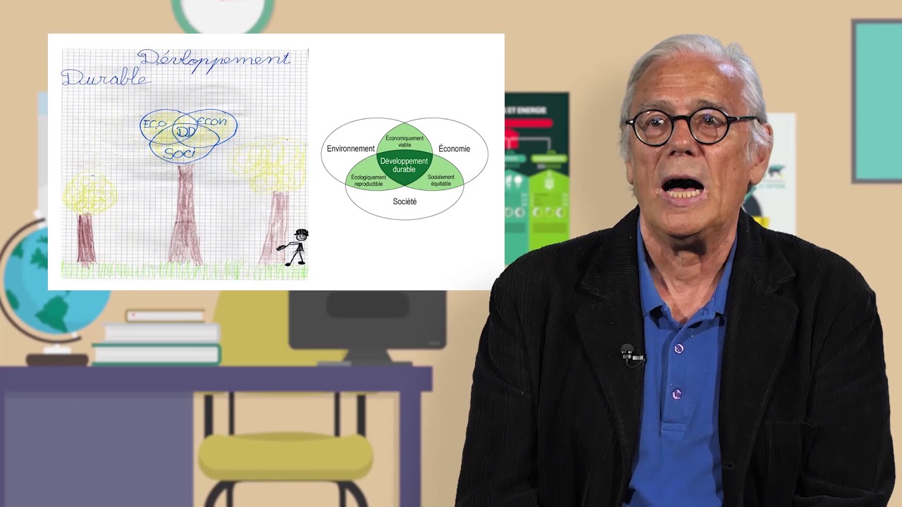 Émergence de l'éducation au développement durable