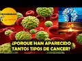 ¿Porque han aparecido tantos tipos de cáncer?