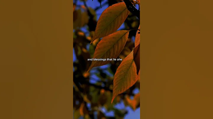 Morning prayer #motivation #prayer #god #jesus #shorts #faith #amen #inspiration #blessed #shorts