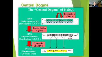 AEM 341 Exam III lecture 3 Dr.  Peterson guest lecture zoom demo 10272020