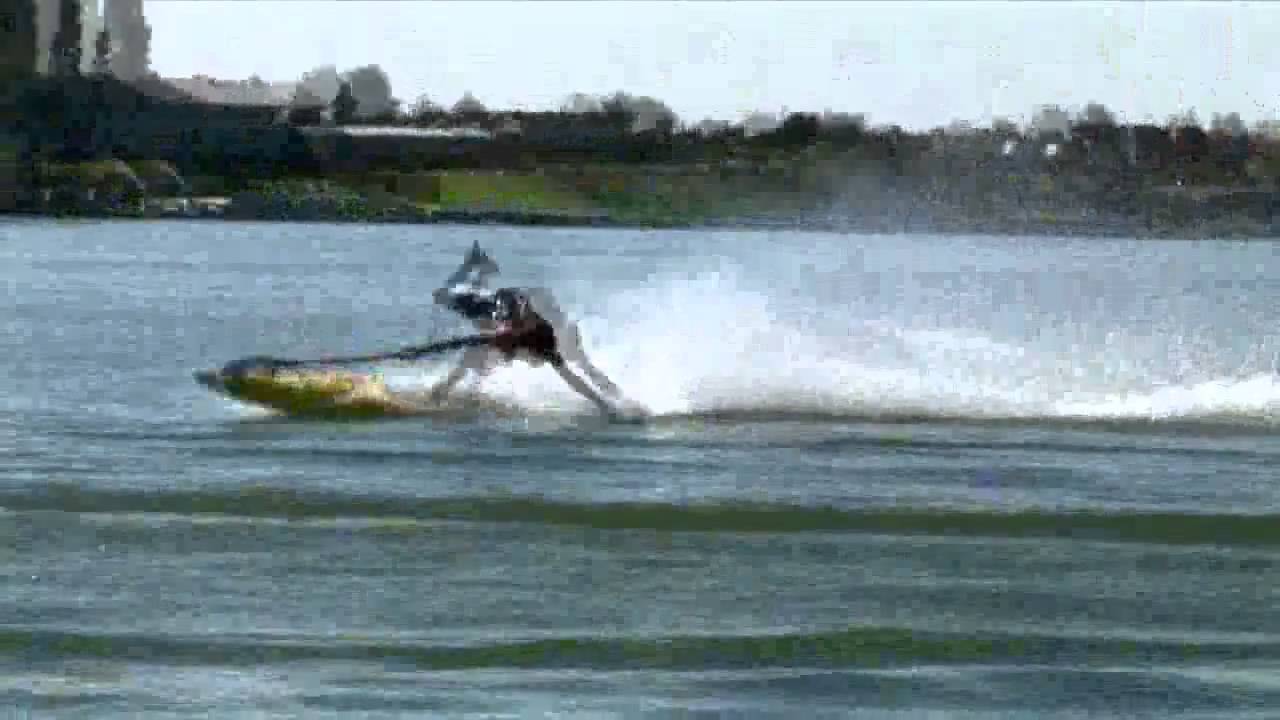 заряд бодрости! powerski crash