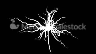 Famous Abstract white roots growing and spreading into all the sides on black background. Animation. Many Wealth