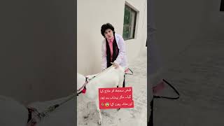 They thought it was constipation…but the bladder burst 💔😨🐐  #pakistan #bakraeidspecial #DVM