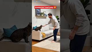 Cat Suddenly Jumped on His Head 😹⚡”#shorts #catreaction