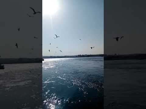 صباح فخري اذا بدا قمري الحب يعني كل شيء القلب الروح النفس نهر دجلة غابات الموصل نوارس دجله