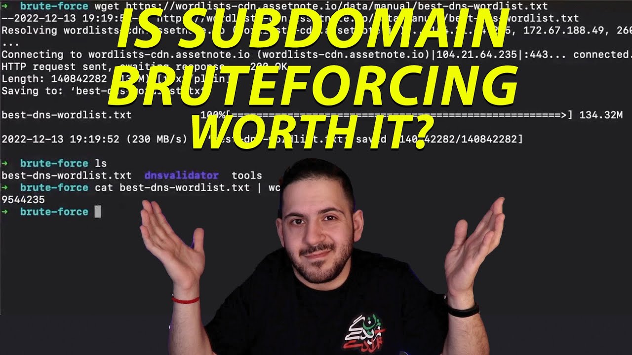 Is Subdomain Bruteforcing Worth It?!