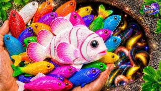 WOW! Catching Rare Colorful Fish in Giant Dinosaur Eggs 🦖🥚🐠Koi,Tiger Tetra, Goldfish,Eel,Tiny Turtle