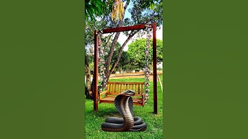 Magic challenge with @kevinbparry