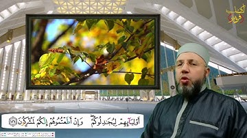 من سورة الأنعام الصفحة 143 بصوت القارئ محمود عبدالله المبيض من ختمة اقرأ وارقَ